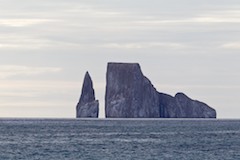 Galapagos2011